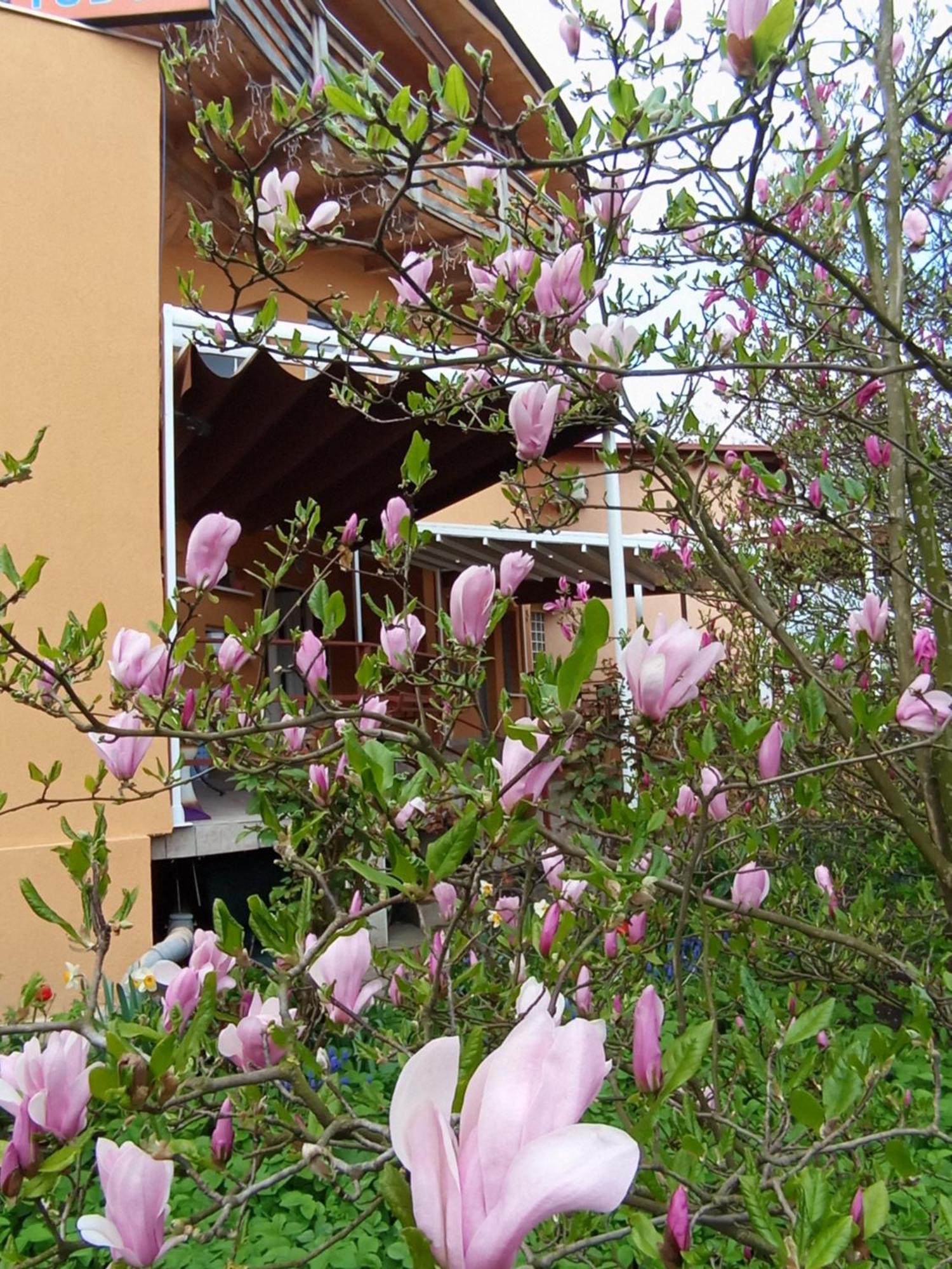 Casa Tudor Turda Exterior foto